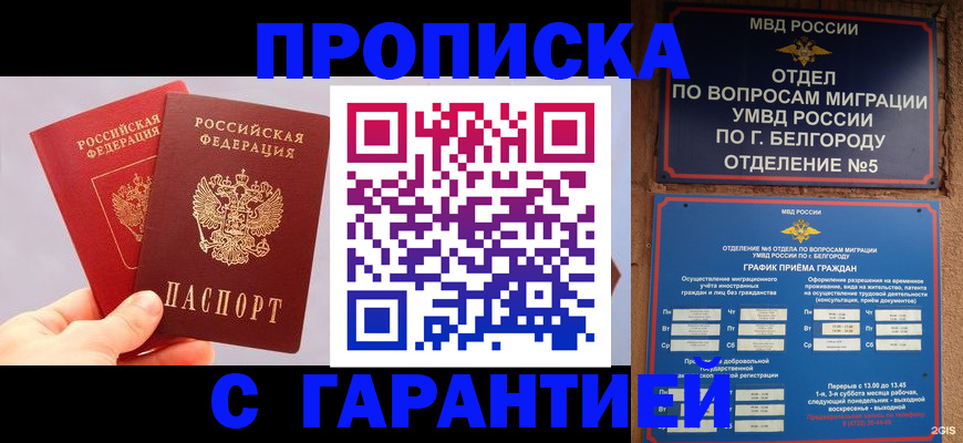 прописка 2025 в Апшеронске